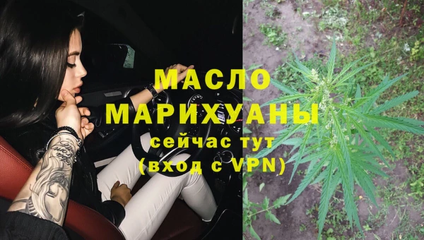 амф Ветлуга