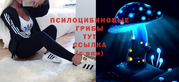 спиды Пестово
