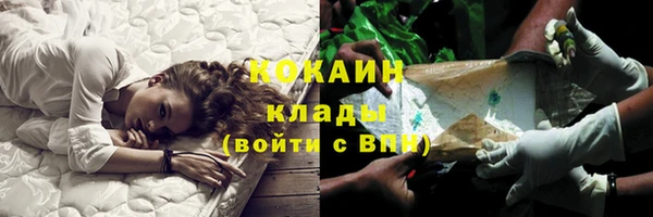 тгк Пересвет