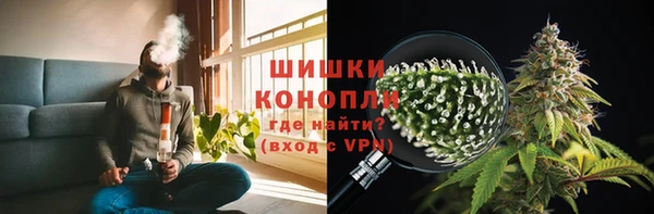 шишки Переславль-Залесский