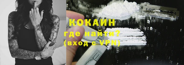 тгк Пересвет