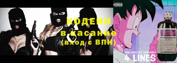 шишки Переславль-Залесский