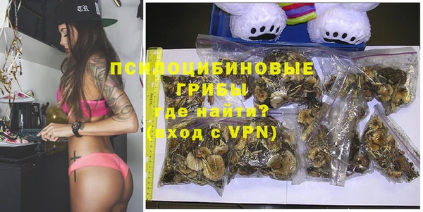 тгк Пересвет