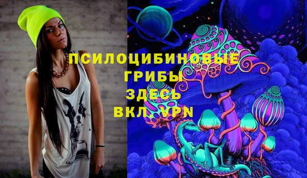 тгк Пересвет