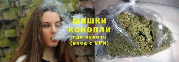 шишки Переславль-Залесский