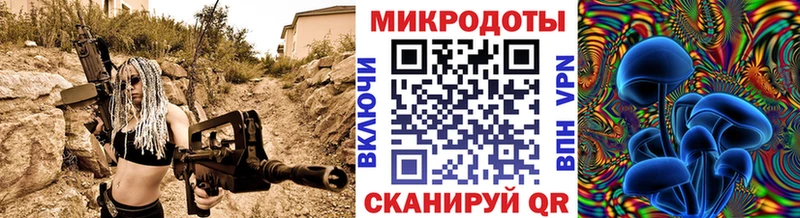 Псилоцибиновые грибы Cubensis  где купить наркотик  Алейск 