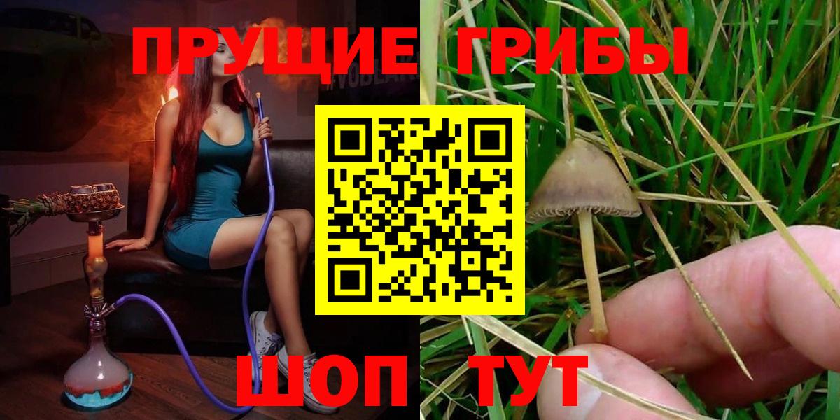 Галлюциногенные грибы GOLDEN TEACHER Алейск