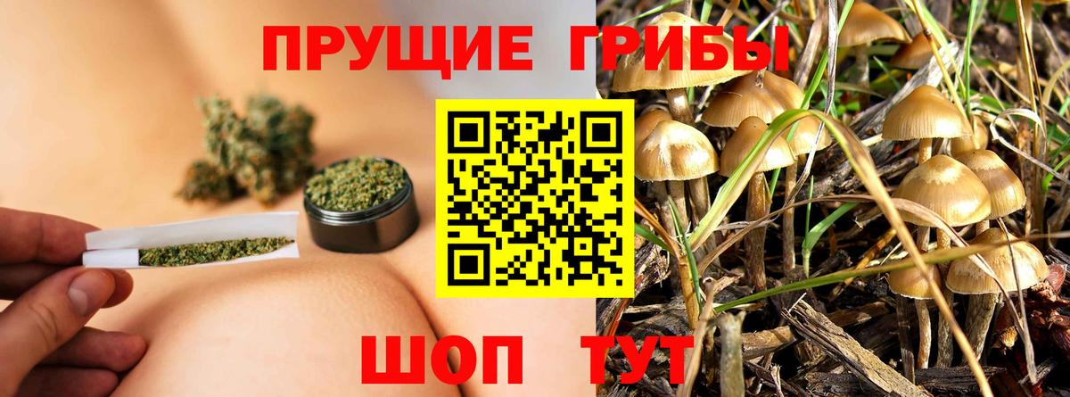 Алейск  Псилоцибиновые грибы Cubensis  Псилоцибиновые грибы прущие грибы  Вход с VPN 