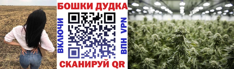 Бошки марихуана план  ОМГ ОМГ зеркало  Алейск 